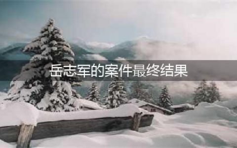 2014年，东北男子夜闯KTV，在8岁女儿面前杀死陪唱妻子，被判死刑(岳志军的案件最终结果)