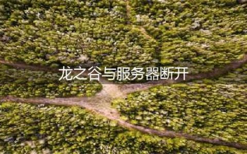 《龙之谷2手游》闪退进不去怎么办 闪退异常问题解决方法(龙之谷与服务器断开)
