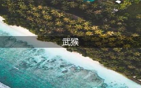 《少林九武猴》有哪些成就 全成就达成攻略(武猴)