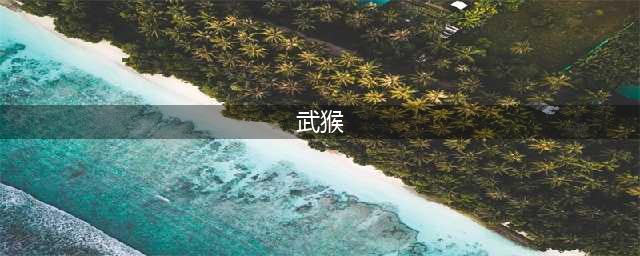 《少林九武猴》有哪些成就 全成就达成攻略(武猴)