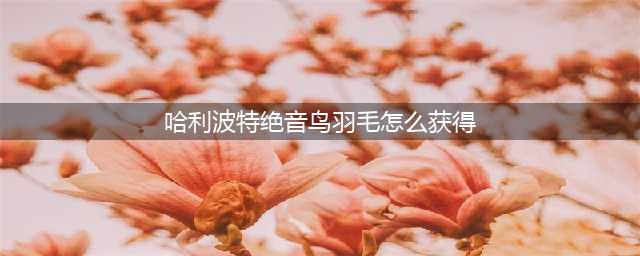 哈利波特绝音鸟羽毛获取方法(哈利波特绝音鸟羽毛怎么获得)