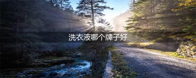 12款洗衣液测评：威露士去污性能排名靠后，雕牌检出禁用物(洗衣液哪个牌子好)