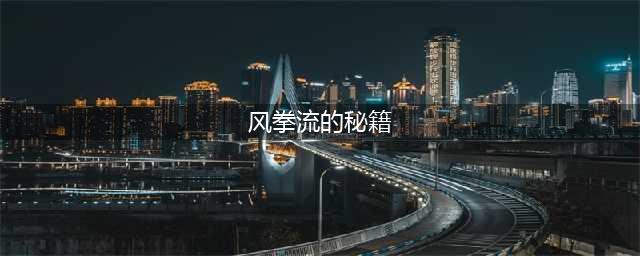 风拳流秘籍怎么完成(风拳流的秘籍)