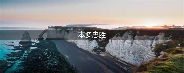 《仁王2》本多忠胜人物怎么样 本多忠胜介绍(本多忠胜)