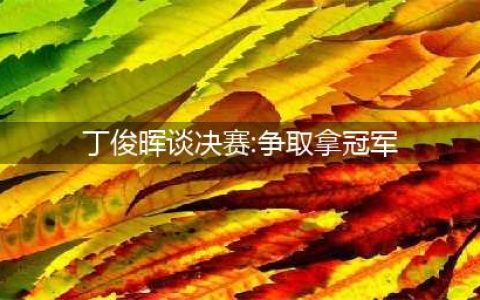 丁俊晖10-6击败塞尔比夺第2冠，目标剑指上海大师赛第3冠(丁俊晖谈决赛:争取拿冠军)