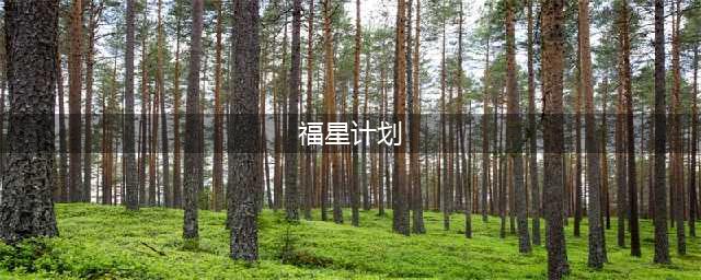 《LOL》福星计划性价比高吗 福星计划性价比分析(福星计划)