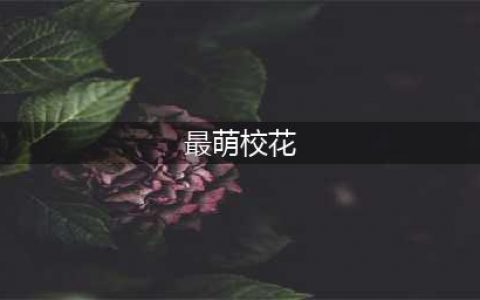 广东揭阳最萌校花爆红网络，幕后推手遭曝光！(最萌校花)