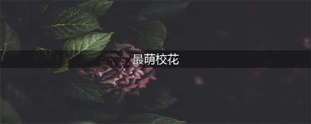 广东揭阳最萌校花爆红网络，幕后推手遭曝光！(最萌校花)