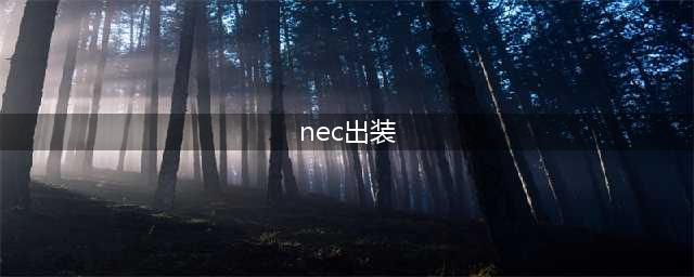 《暗黑破坏神2重置版》炸牛NEC配装分享 炸牛NEC怎么玩
