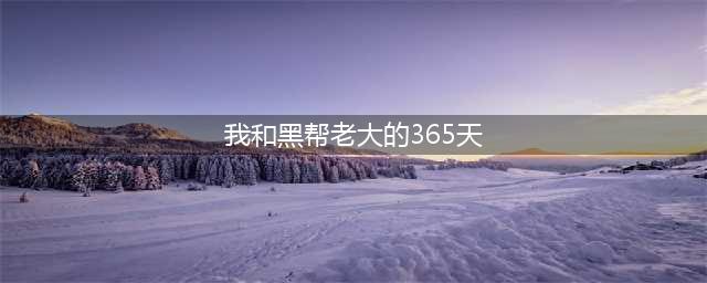 《黑帮大佬和我的365日》:当爱情遇上黑帮，一段不容错过的禁忌浪漫之旅(我和黑帮老大的365天)