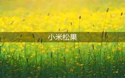 小米自研处理器“松果”正式公布 28日将举办发布会(小米松果)