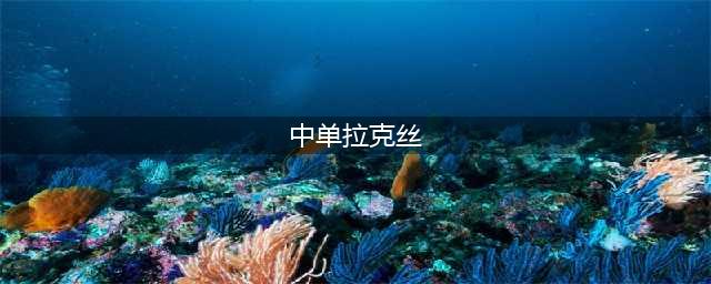 《LOL》S11拉克丝出装图文教程 S11拉克丝出装技巧分享(中单拉克丝)