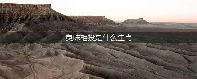 物以类聚,臭味相投。猜打生肖(臭味相投是什么生肖)
