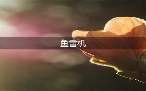 碧蓝航线鱼雷机怎么选择 鱼雷机选择推荐