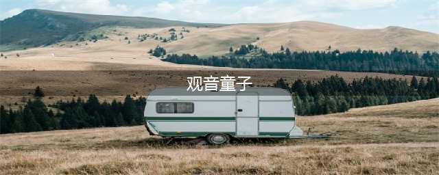 【煜炜泰鉴赏】观音童子(观音童子)