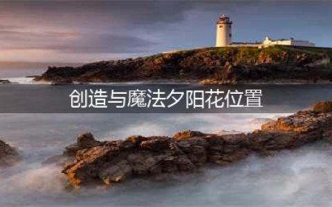 创造与魔法夕阳花位置大全