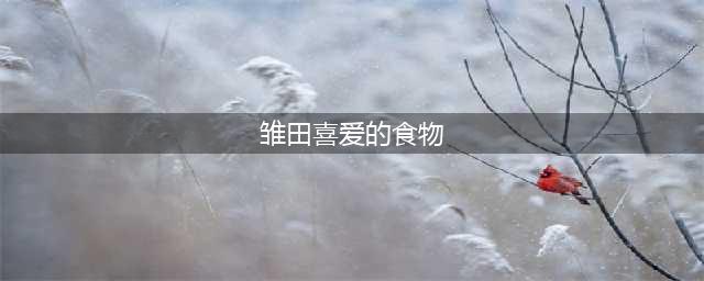 《火影忍者》手游忍者喜好樱花甜品是什么 忍者喜好樱花甜品一览(雏田喜爱的食物)