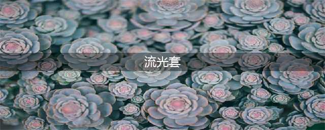 《忘川风华录》流光套一览