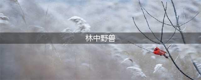 《暗黑破坏神不朽》林中野兽任务触发位置详解