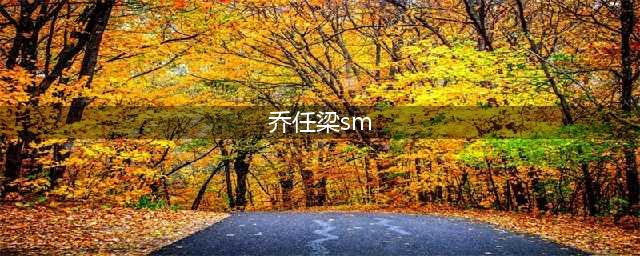 已经确认！乔任梁SM过度死亡，目前还不知导演是谁(乔任梁sm)