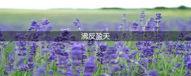 沸反盈天的出处、释义、典故、近反义词及例句用法 - 成语知识(沸反盈天)