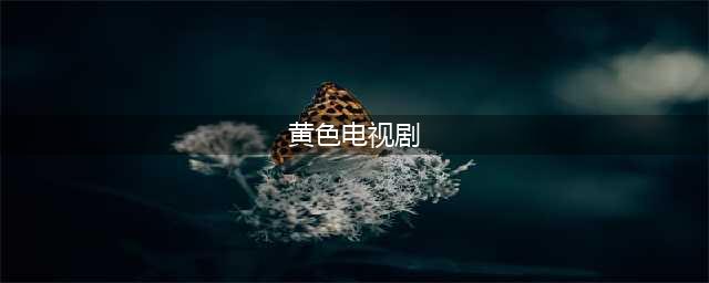 尺度太大被指色情的十部电视剧 《武则天秘史》等(组图)(黄色电视剧)
