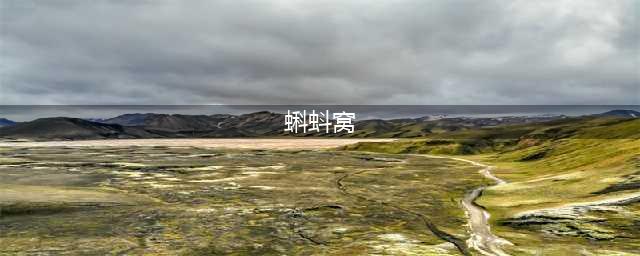 揭秘印度街头蝌蚪窝的制作方法，营养美味不容错过！(蝌蚪窝)