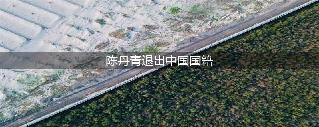 侮辱英烈的公知吹捧美国公民的“公知爱国观”，包藏了什么祸心？(陈丹青退出中国国籍)