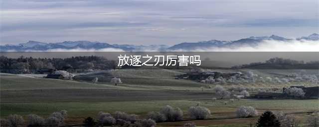 《影武者2》放逐之刃怎么样 放逐之刃强度评测(放逐之刃厉害吗)