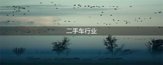 行业报告！2024年中国二手车行业市场现状解析及发展预测分析「图」(二手车行业)