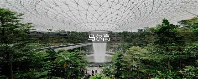 《航海王热血航线》马尔高实战操作 PVE和PVP进阶技巧解读