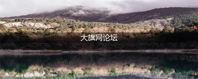 网络社区大旗网终止服务 BBS论坛从辉煌转至落寞(大旗网论坛)