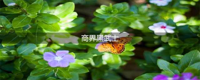 学科小知识 | 商界里面的黑武士和白武士(商界黑武士)