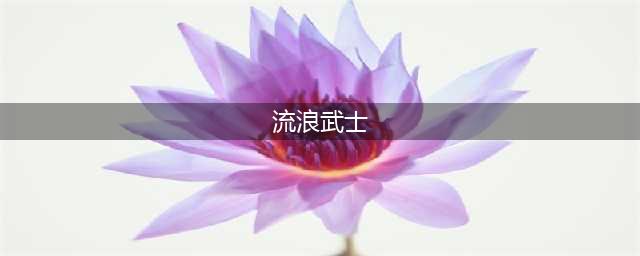 DNF110级机械战神流浪武士毕业装备推荐(流浪武士)