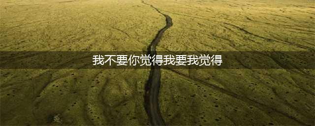 我不要你觉得，我要我觉得(我不要你觉得我要我觉得)
