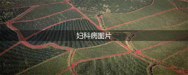 一组一周浏览量10万+的妇科病图片，看了以后……(妇科病图片)