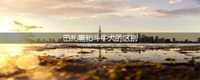 还分不清楚巴哥犬和斗牛犬?最通俗易懂的方法都在这里了(巴扎黑和斗牛犬的区别)