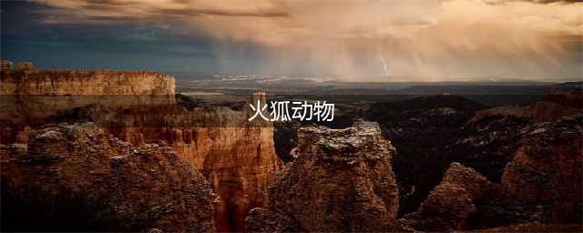 《小森生活》火狐王坐标及捕捉技巧分享 火狐王哪里多(火狐动物)