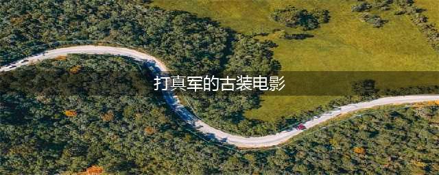 擦过文艺和道德的底线：5部“打真军”电影(打真军的古装电影)