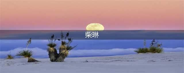柴琳：什么是游学？什么是学游？为什么学游现在这么火，二者的差异是什么?(柴琳)
