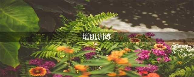 学会这几个增肌锻炼方法，让你练出强壮的肌肉身材！(增肌训练)