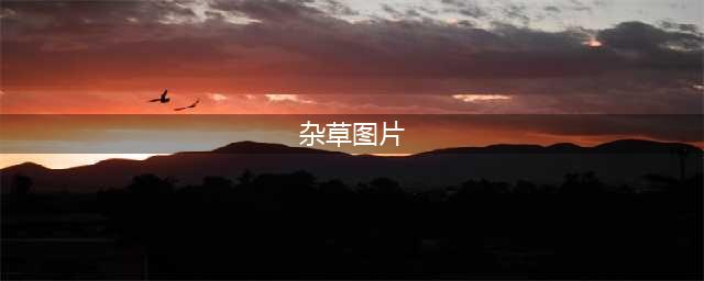60种高清杂草图谱，一次全认识了(杂草图片)
