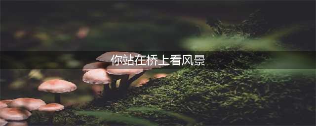 你站在桥上看风景，看风景的人在楼上看你，《断章》诗歌评析(你站在桥上看风景)