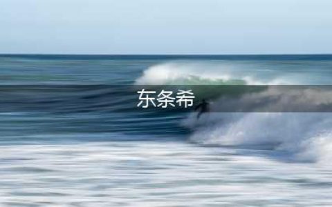 《学园偶像季群星闪耀》东条希怎么样 属性图鉴分享(东条希)