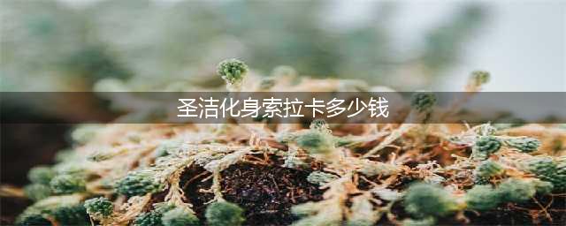 《LOL》圣洁化身索拉卡皮肤怎么样 圣洁化身索拉卡皮肤介绍(圣洁化身索拉卡多少钱)