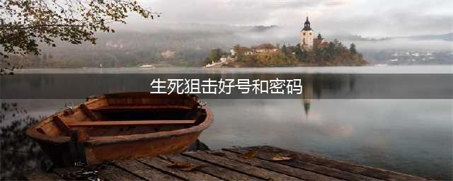 《生死狙击》最新好号和密码大全 永久没人玩好号分享(生死狙击好号和密码)