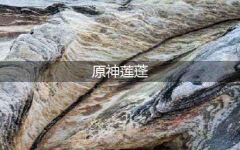《原神》莲蓬采集位置详解