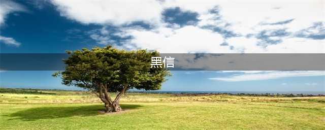 《旁观者3》黑信格式错误问题介绍(黑信)