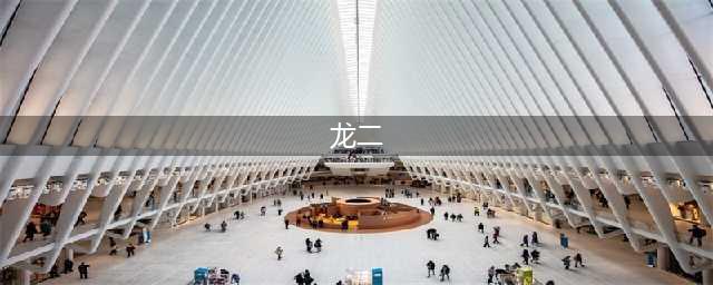 小说《活着》里龙二那么精于算计的一个人，最后却糊涂送了命？(龙二)