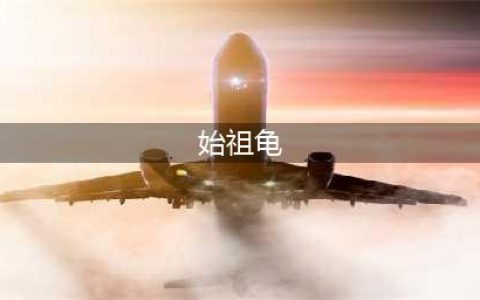 《魔兽世界》始祖龟声望怎么刷 刷始祖龟声望方法介绍(始祖龟)